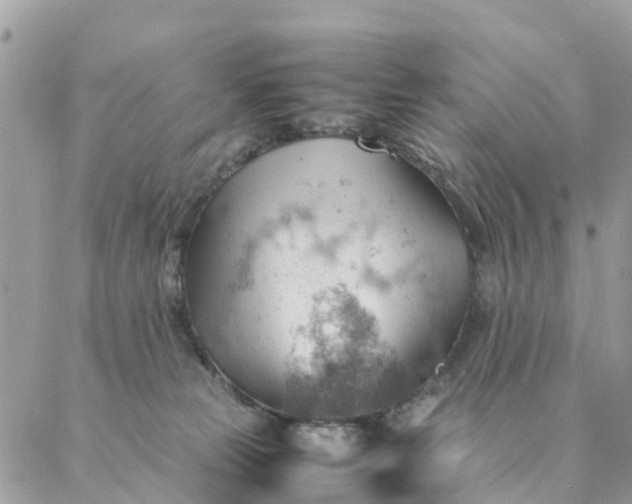 X0000087310181200705041658