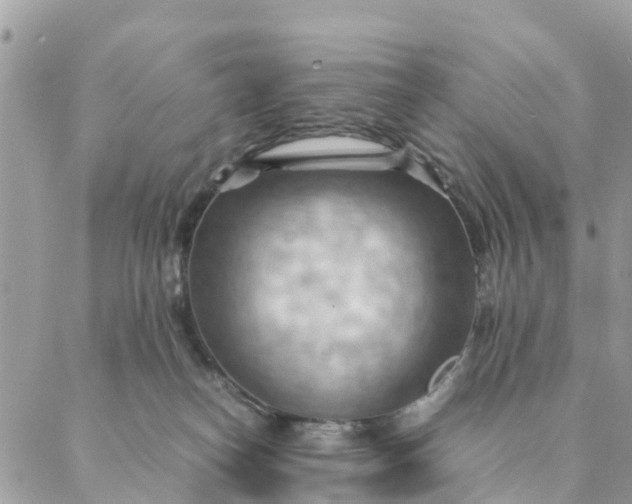 X0000087310182200705041658