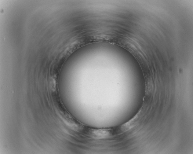 X0000087310183200705041658