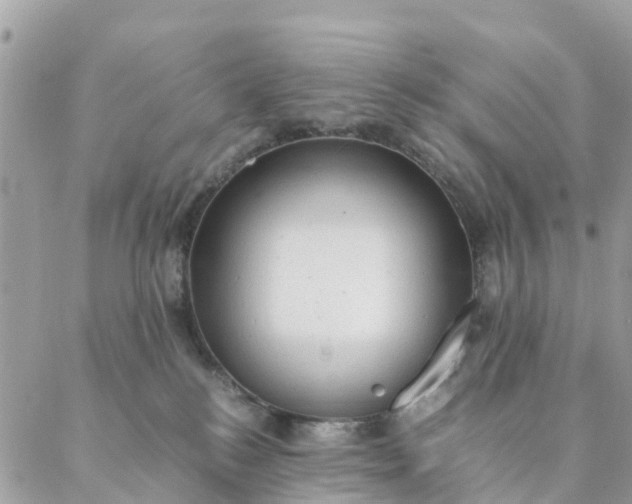 X0000087310184200705041658