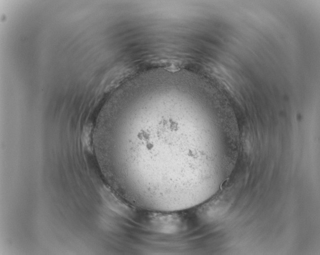 X0000087310185200705041658