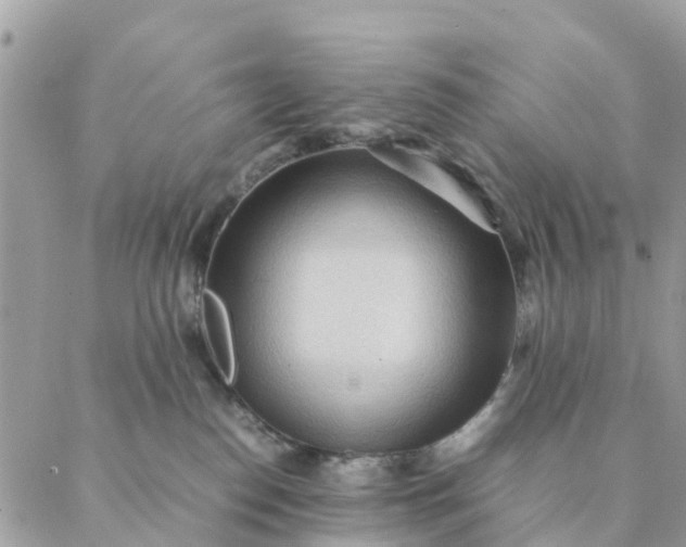 X0000087310186200705041658