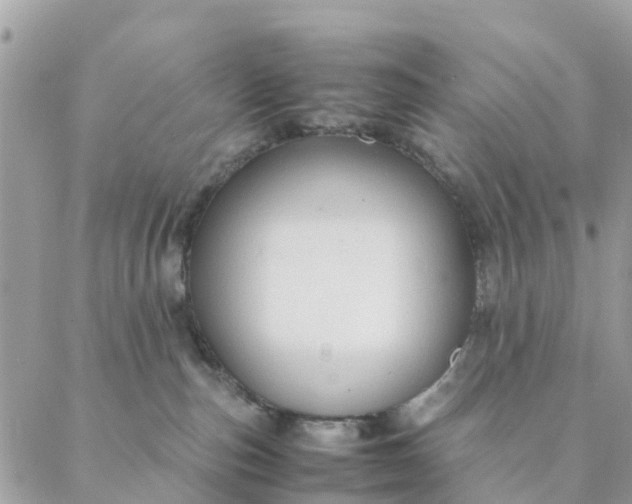 X0000087310187200705041658