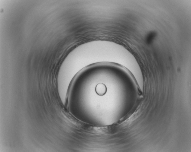 X0000087310188200705041658