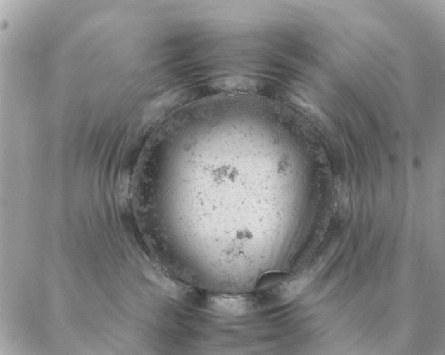 X0000087310189200705041659