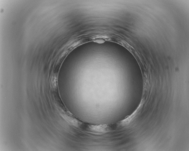 X0000087310191200705041659