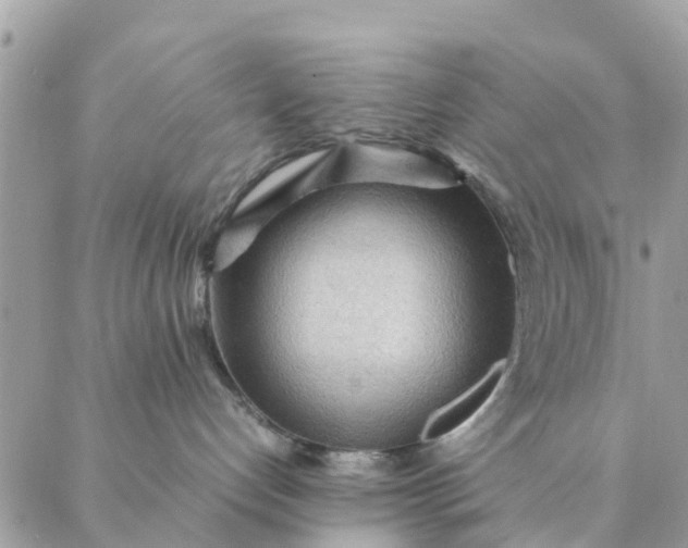 X0000087310192200705041659