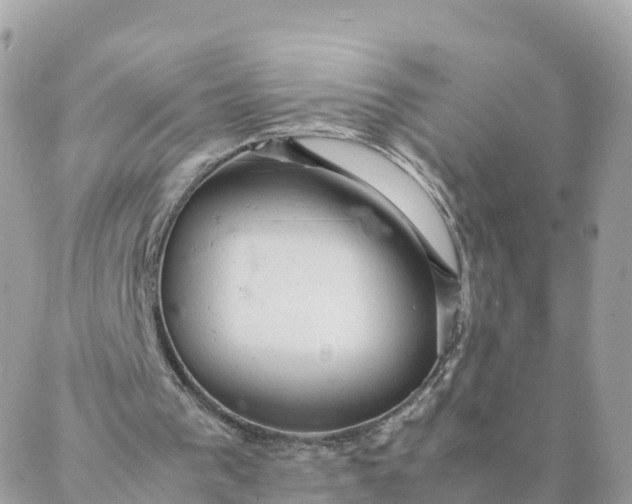 X0000087310193200705041658