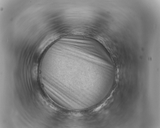 X0000087310194200705041658