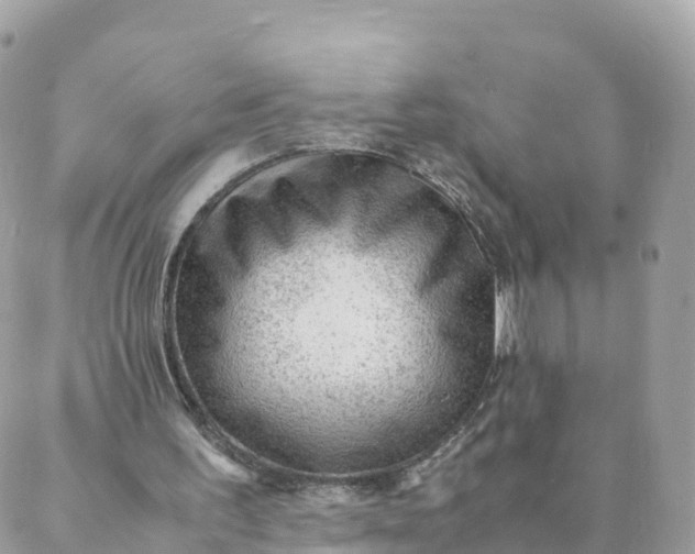 X0000087310195200705041658