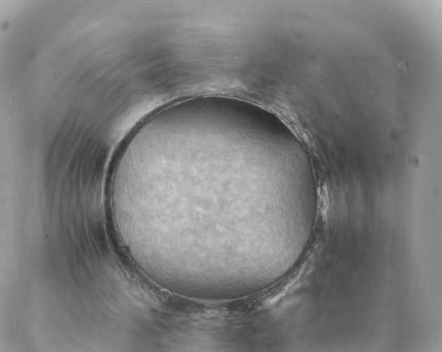 X0000087310196200705041658