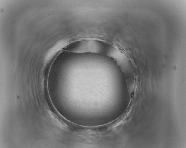 X0000087310197200705041658