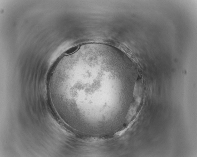 X0000087310198200705041658