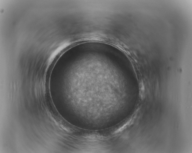 X0000087310200200705041658