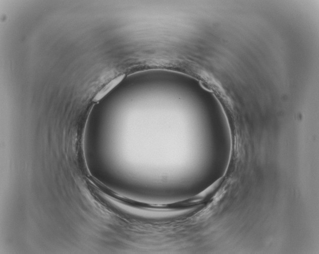 X0000087310201200705041658