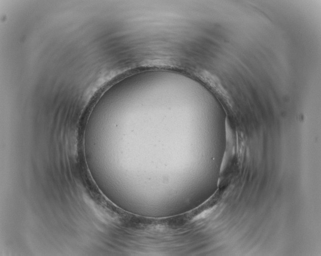 X0000087310204200705041658