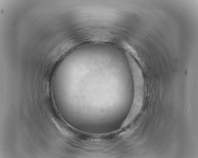 X0000087310205200705041658