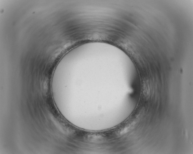 X0000087310208200705041658