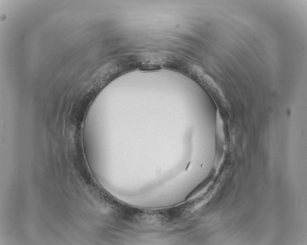 X0000087310209200705041658