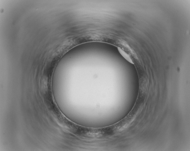 X0000087310213200705041657