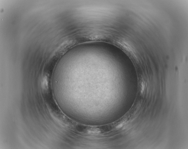 X0000087310214200705041657