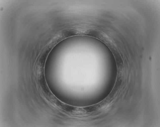 X0000087310215200705041657