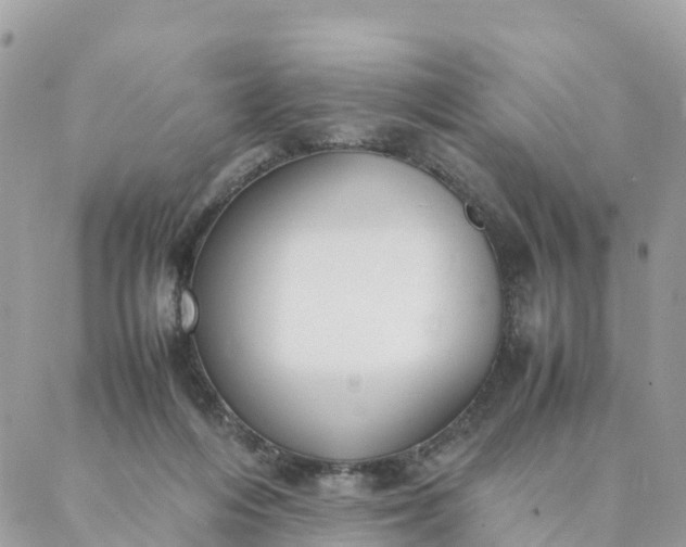 X0000087310216200705041657