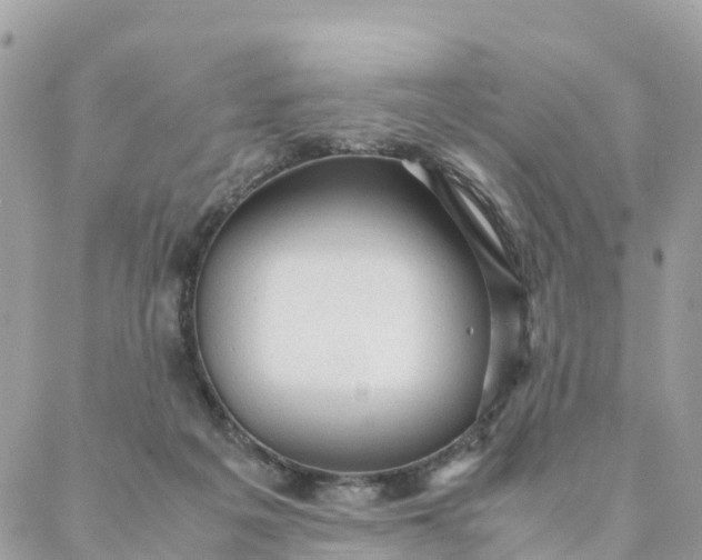 X0000087310217200705041657