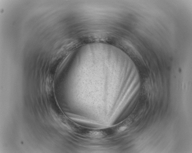 X0000087310218200705041657