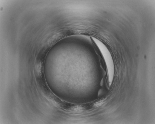 X0000087310219200705041657