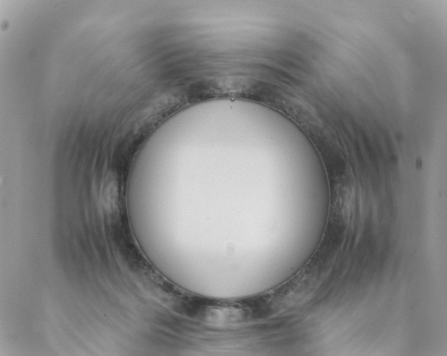 X0000087310220200705041657