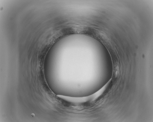 X0000087310221200705041657