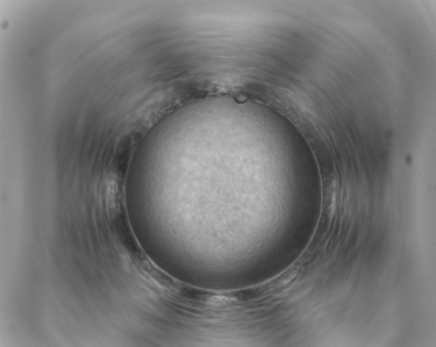 X0000087310222200705041657