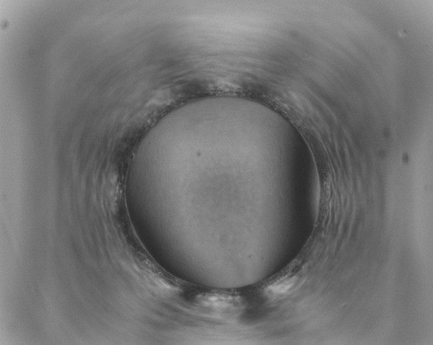 X0000087310223200705041657