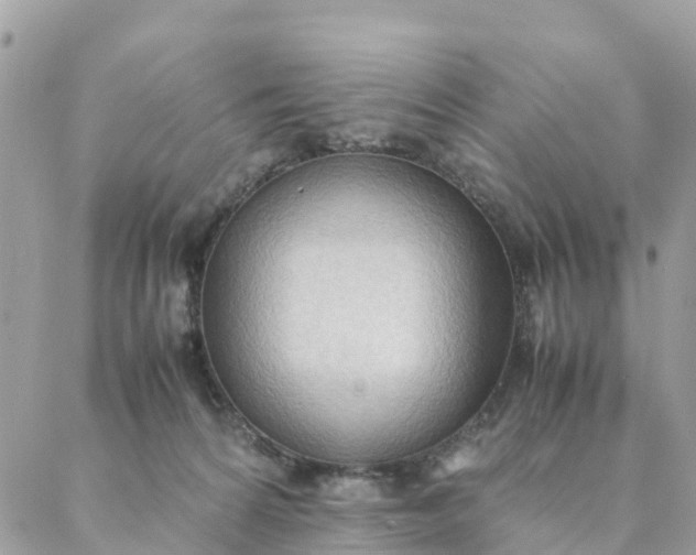 X0000087310224200705041657