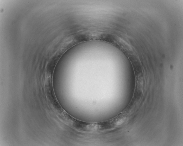 X0000087310225200705041657