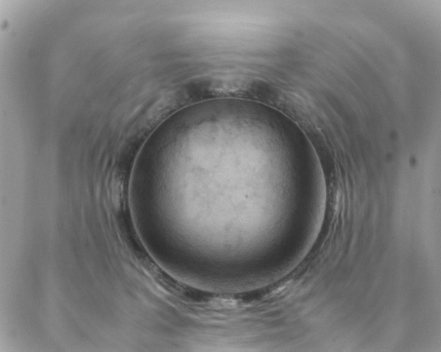 X0000087310227200705041657