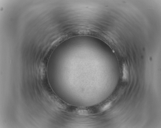 X0000087310228200705041657