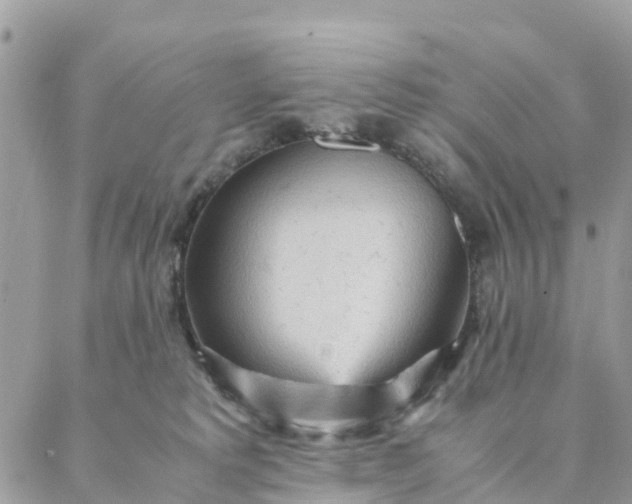 X0000087310229200705041657