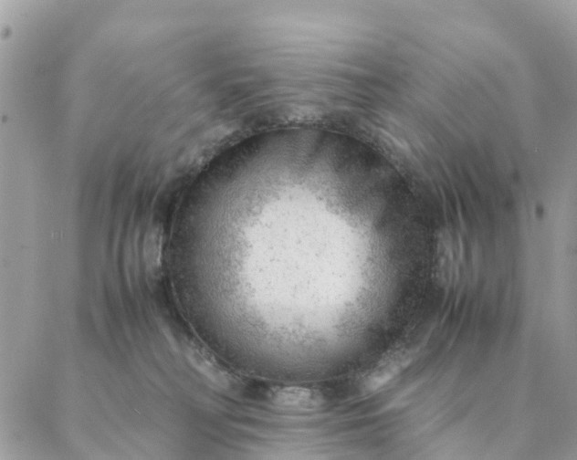 X0000087310230200705041657