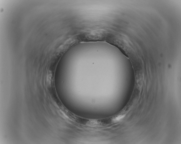 X0000087310231200705041657