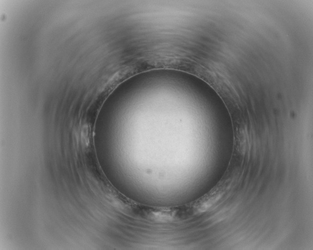 X0000087310232200705041657