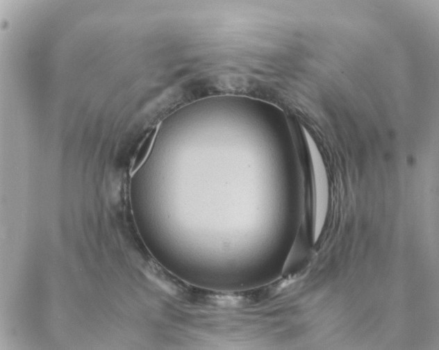 X0000087310233200705041657