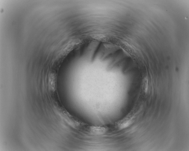 X0000087310234200705041657