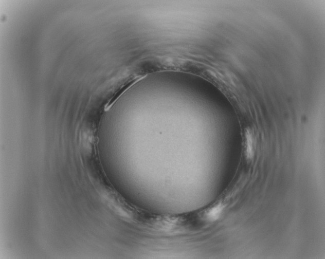 X0000087310235200705041657