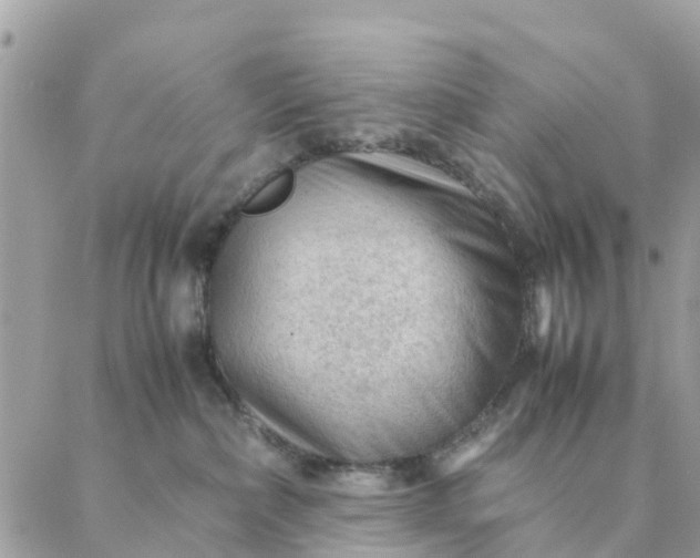 X0000087310236200705041657