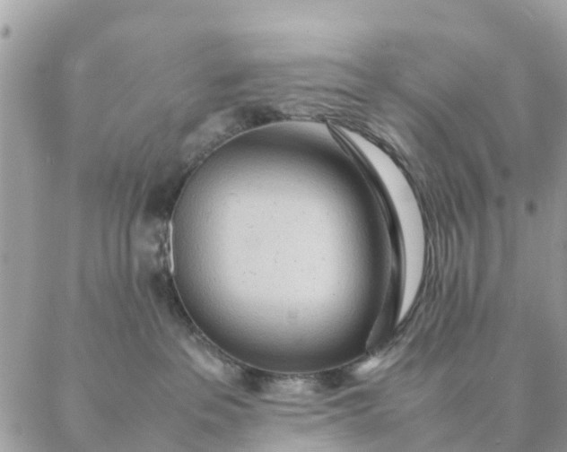 X0000087310237200705041657