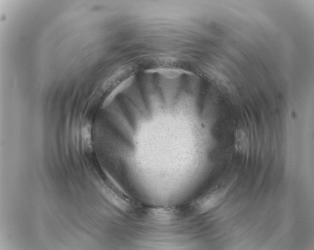 X0000087310238200705041657