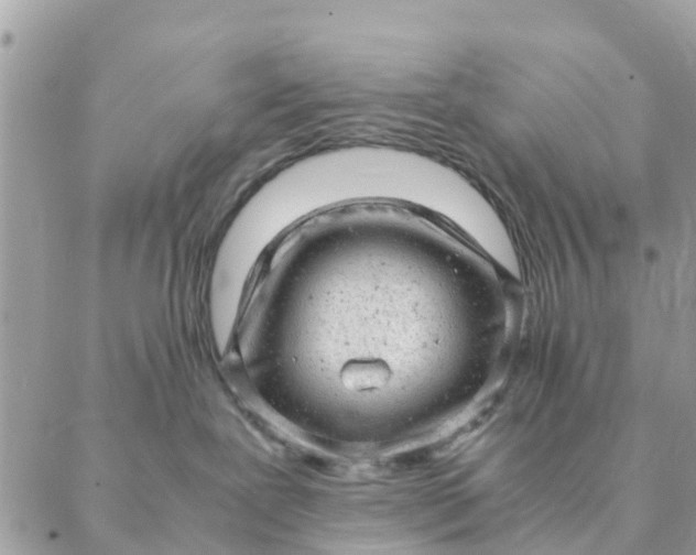 X0000087310239200705041657