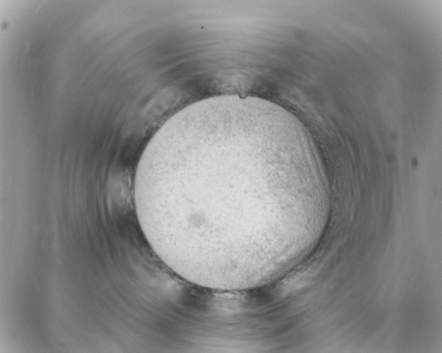 X0000087310240200705041657